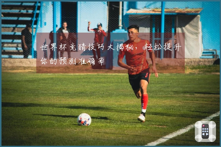世界杯竞猜技巧大揭秘，轻松提升你的预测准确率