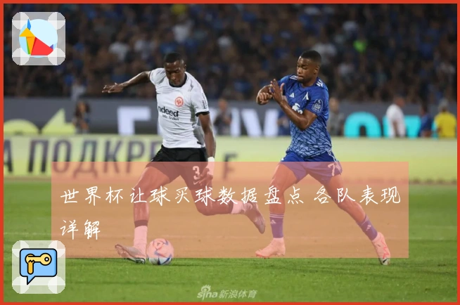 世界杯让球买球数据盘点 各队表现详解