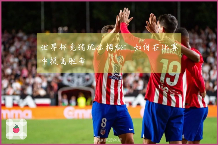 世界杯竞猜玩法揭秘：如何在比赛中提高胜率