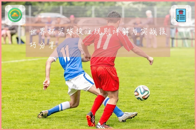 世界杯买球投注规则详解与实战技巧分享