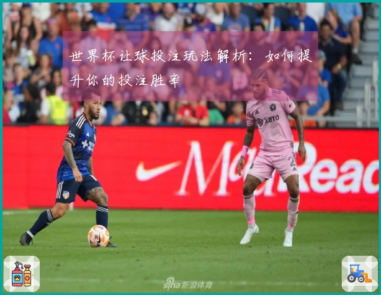 世界杯让球投注玩法解析：如何提升你的投注胜率