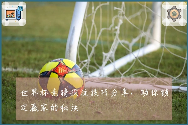 世界杯竞猜投注技巧分享，助你锁定赢家的秘诀