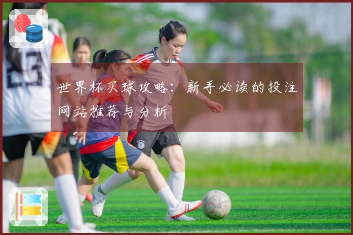 世界杯买球攻略：新手必读的投注网站推荐与分析