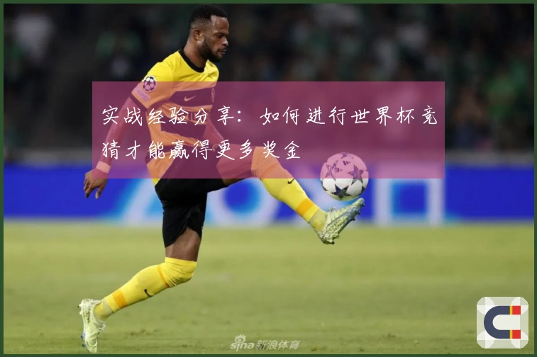 实战经验分享：如何进行世界杯竞猜才能赢得更多奖金