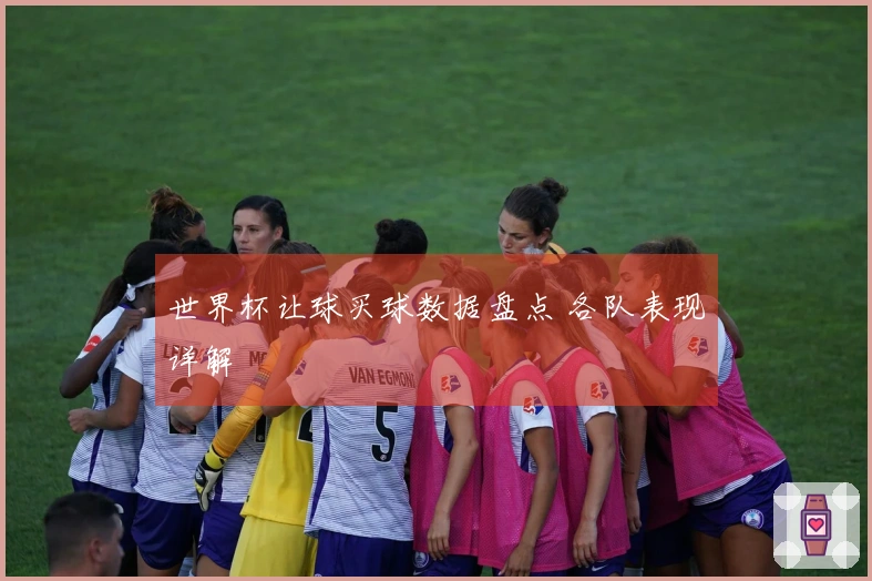 世界杯让球买球数据盘点 各队表现详解