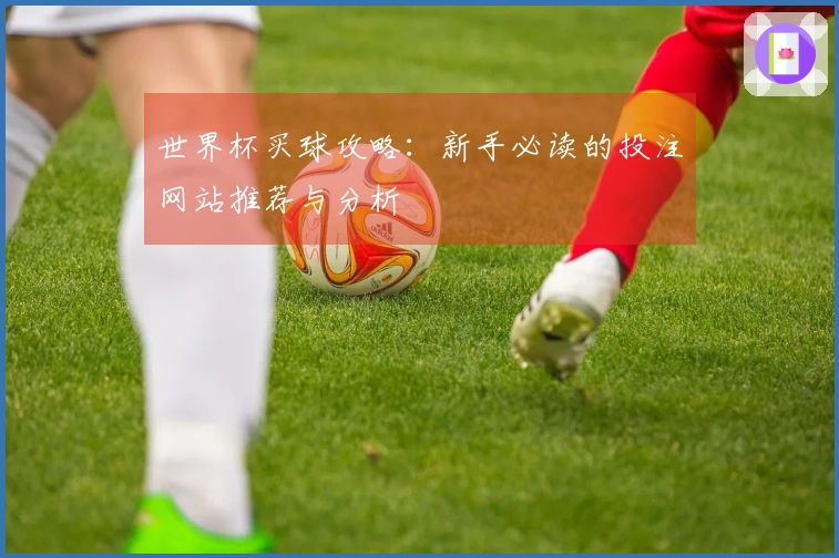 世界杯买球攻略：新手必读的投注网站推荐与分析