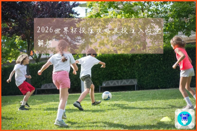 2026世界杯投注攻略及投注入口全解析